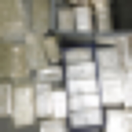 DSCN9088